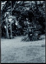 Priest seated in front of a stone lantern, Moanalua Gardens, Oahu.